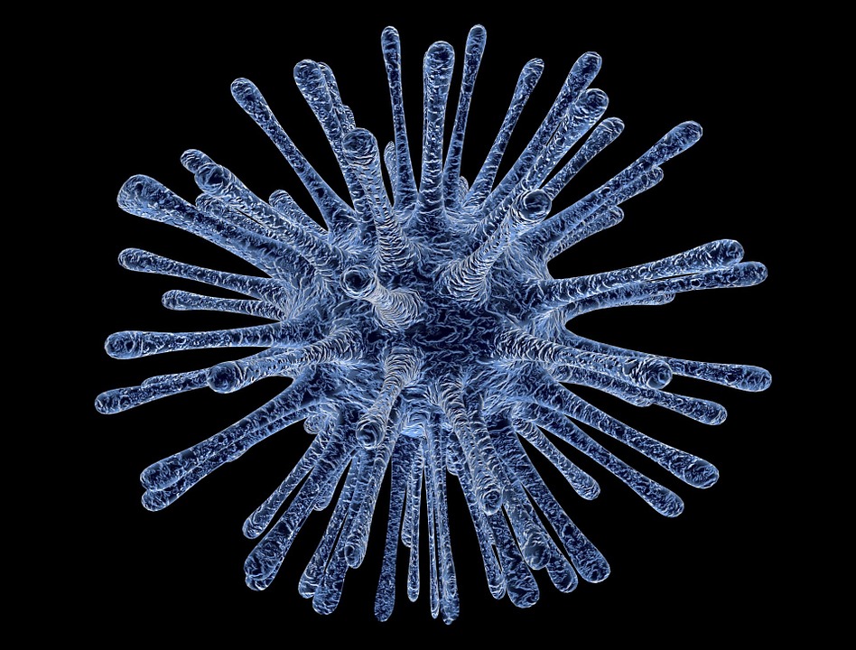 virus-infected-cells-213708_960_720
