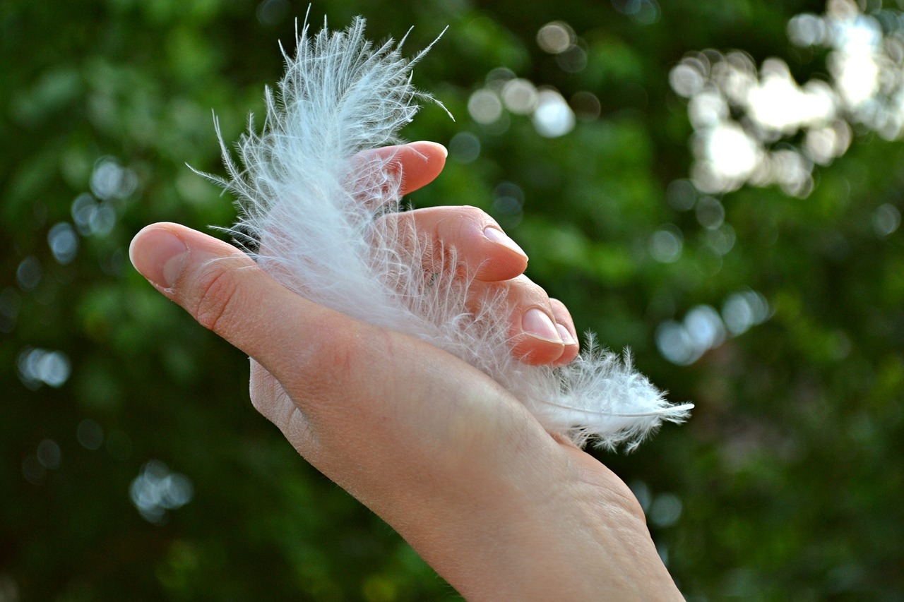 feather-1078424_1280