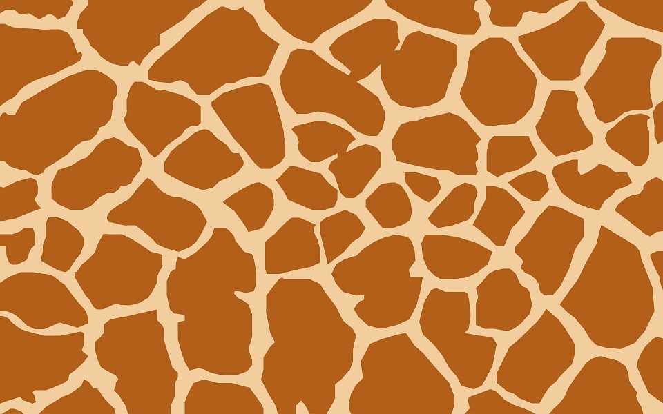 giraffe-937622_960_720
