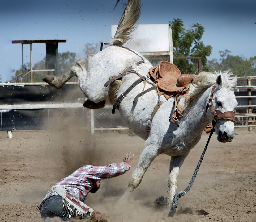 rodeo-1010051_960_720