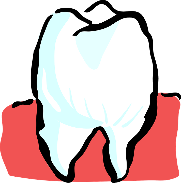 tooth-25594_960_720