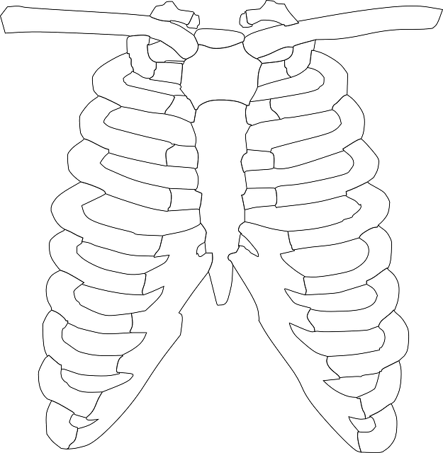 胸骨２