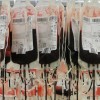献血の年齢制限ってある？献血が可能な条件や影響を知ろう！