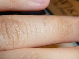 指毛の処理方法を紹介 脱毛するために良いのは Hapila ハピラ
