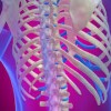 肋骨骨折の症状とは？原因や治療方法も紹介！