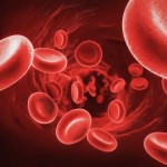 赤血球が多い原因は？病気の可能性や貧血の種類について