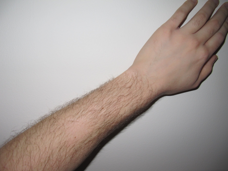 腕毛の処理の方法とは？剃る時の注意点と減らす方法を紹介！ Hapila [ハピラ]