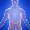 腸下垂って何？症状や原因、改善する方法を紹介！