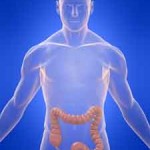 腸下垂って何？症状や原因、改善する方法を紹介！