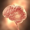 ウェルニッケ脳症とは？症状と原因、治療法を紹介！MRI検査じゃないと判断が難しいの？コルサコフ症候群との関係を紹介！