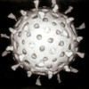 ロタウイルスは予防接種で防ごう！症状や原因は？感染した時の対処法や治療方法も紹介！自宅での対策方法は？