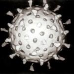 ロタウイルスは予防接種で防ごう！症状や原因は？感染した時の対処法や治療方法も紹介！自宅での対策方法は？