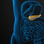 膵嚢胞はどんな病気？原因・症状・治療法を紹介！検査は何をする？