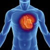 肥大型心筋症の治療法や症状、原因を知ろう！心電図で検査することが可能？