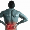 腰痛の原因となる筋肉を知ろう！それらの筋肉を鍛える方法を知って予防しよう！