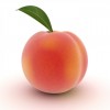 桃アレルギーとは？症状や注意点を紹介！どうしても桃が食べたい時はどうする？