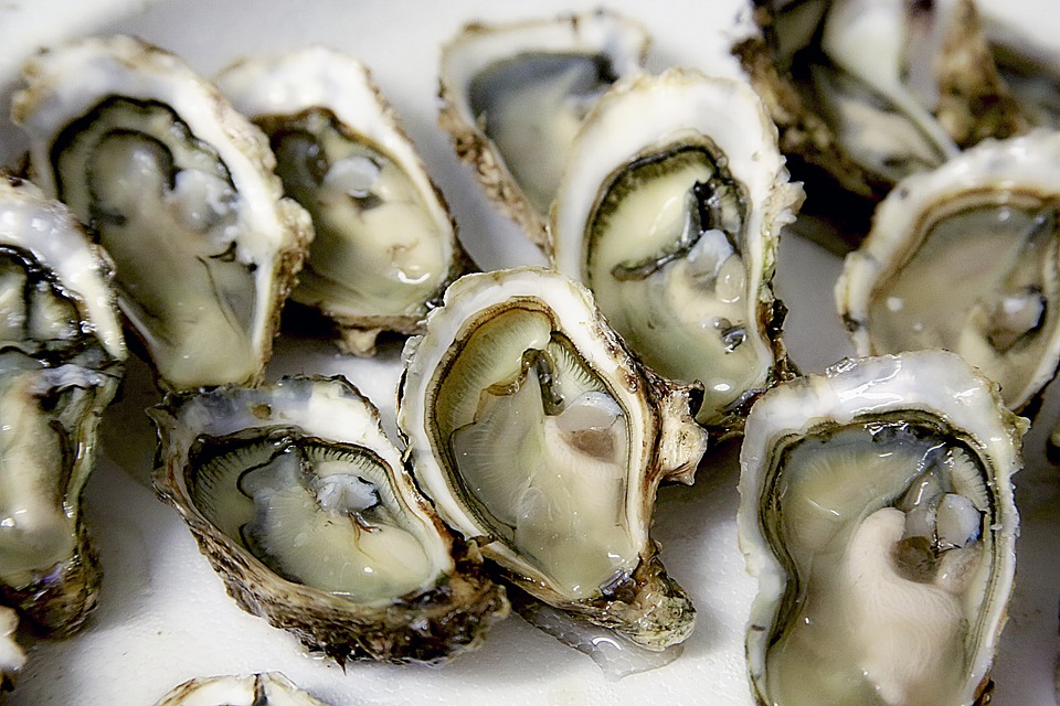 oyster-1522835_960_720