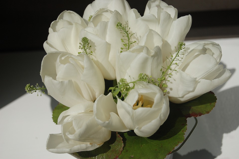 flower-3324851_960_720悲しみの白い花